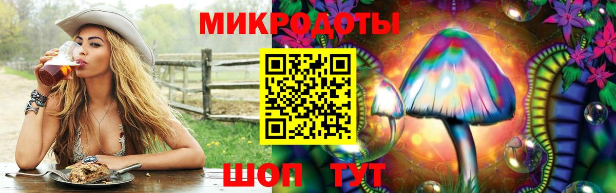 Псилоцибиновые грибы Psilocybe Саяногорск